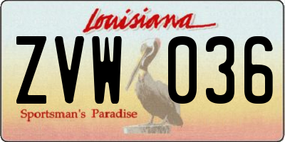 LA license plate ZVW036