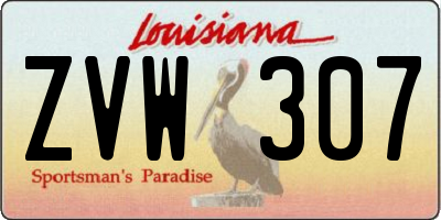 LA license plate ZVW307