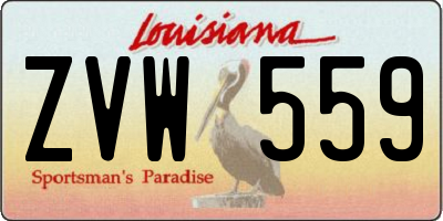 LA license plate ZVW559