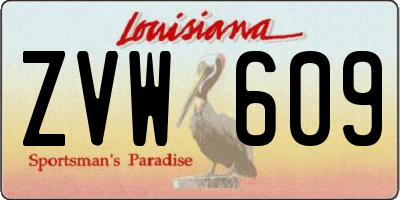 LA license plate ZVW609