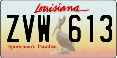 LA license plate ZVW613