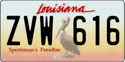 LA license plate ZVW616