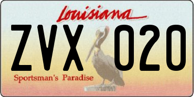 LA license plate ZVX020