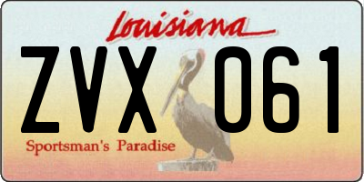 LA license plate ZVX061