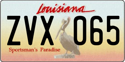 LA license plate ZVX065