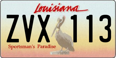LA license plate ZVX113