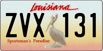 LA license plate ZVX131