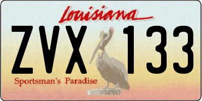 LA license plate ZVX133