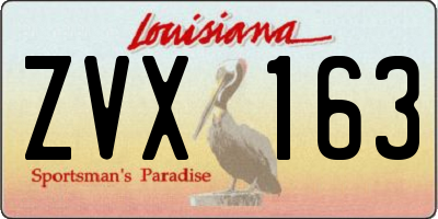 LA license plate ZVX163