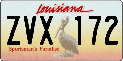 LA license plate ZVX172