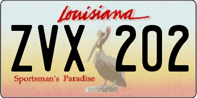 LA license plate ZVX202