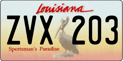 LA license plate ZVX203