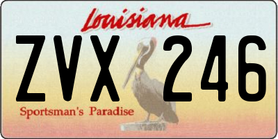 LA license plate ZVX246