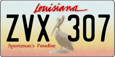 LA license plate ZVX307