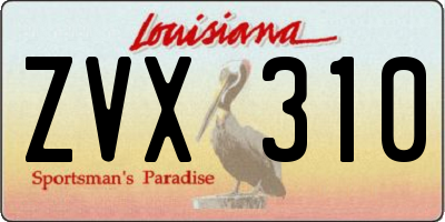 LA license plate ZVX310