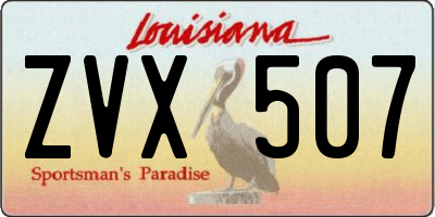 LA license plate ZVX507