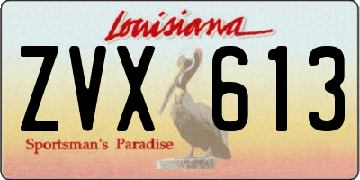 LA license plate ZVX613