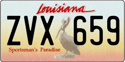 LA license plate ZVX659