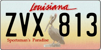 LA license plate ZVX813