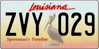 LA license plate ZVY029