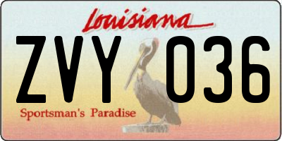 LA license plate ZVY036