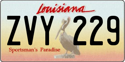 LA license plate ZVY229