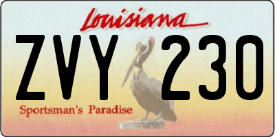 LA license plate ZVY230