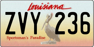LA license plate ZVY236
