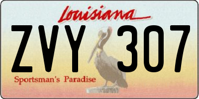 LA license plate ZVY307