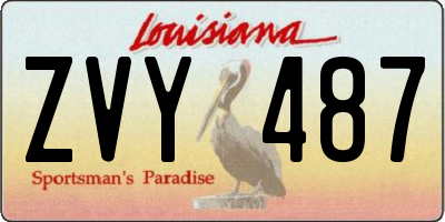 LA license plate ZVY487