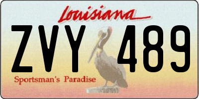 LA license plate ZVY489