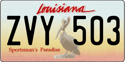 LA license plate ZVY503