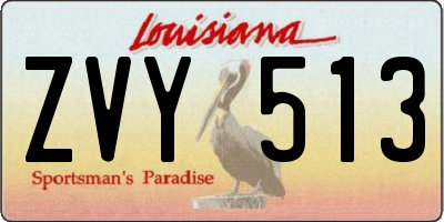 LA license plate ZVY513