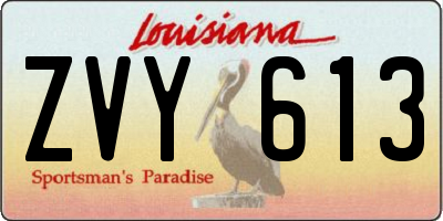 LA license plate ZVY613