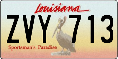 LA license plate ZVY713