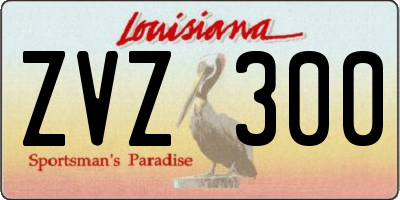 LA license plate ZVZ300