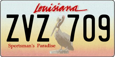 LA license plate ZVZ709