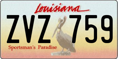 LA license plate ZVZ759