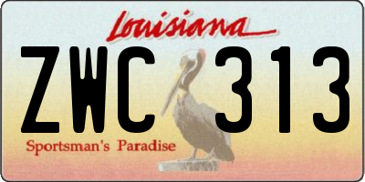 LA license plate ZWC313