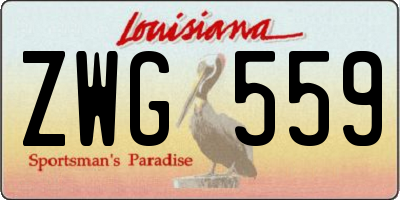 LA license plate ZWG559