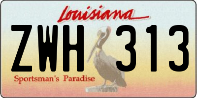 LA license plate ZWH313