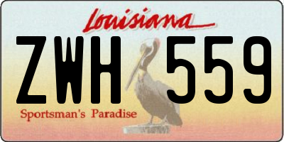 LA license plate ZWH559