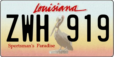 LA license plate ZWH919