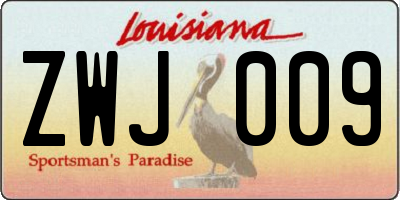 LA license plate ZWJ009