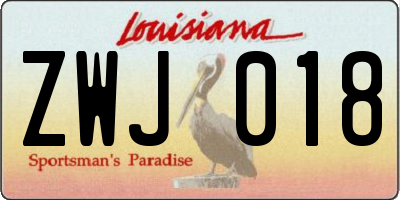 LA license plate ZWJ018