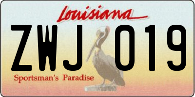 LA license plate ZWJ019