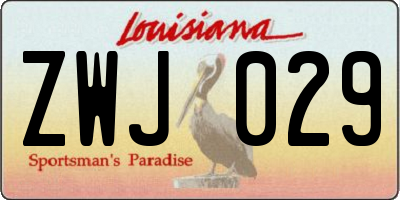 LA license plate ZWJ029