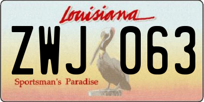 LA license plate ZWJ063