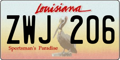 LA license plate ZWJ206