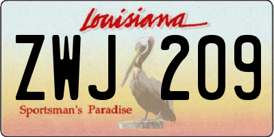 LA license plate ZWJ209